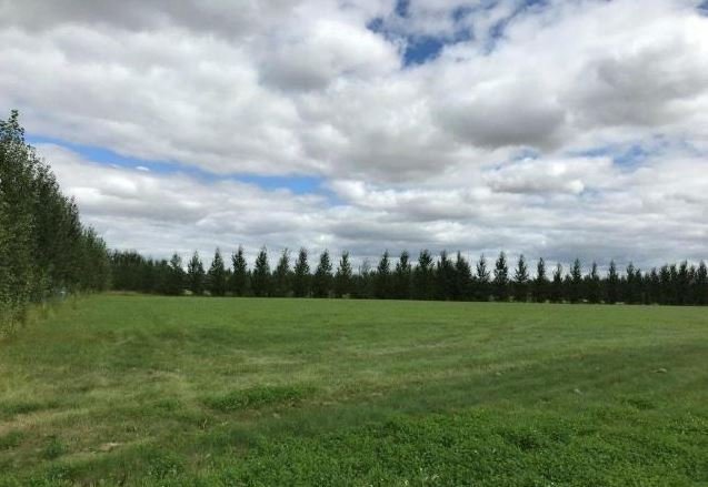 14 Emanuel Drive Rural Wainwright No. 61, M.D.