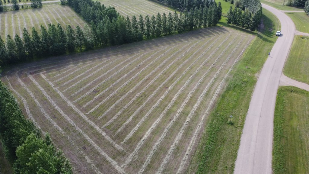 14 Emanuel Drive Rural Wainwright No. 61, M.D.