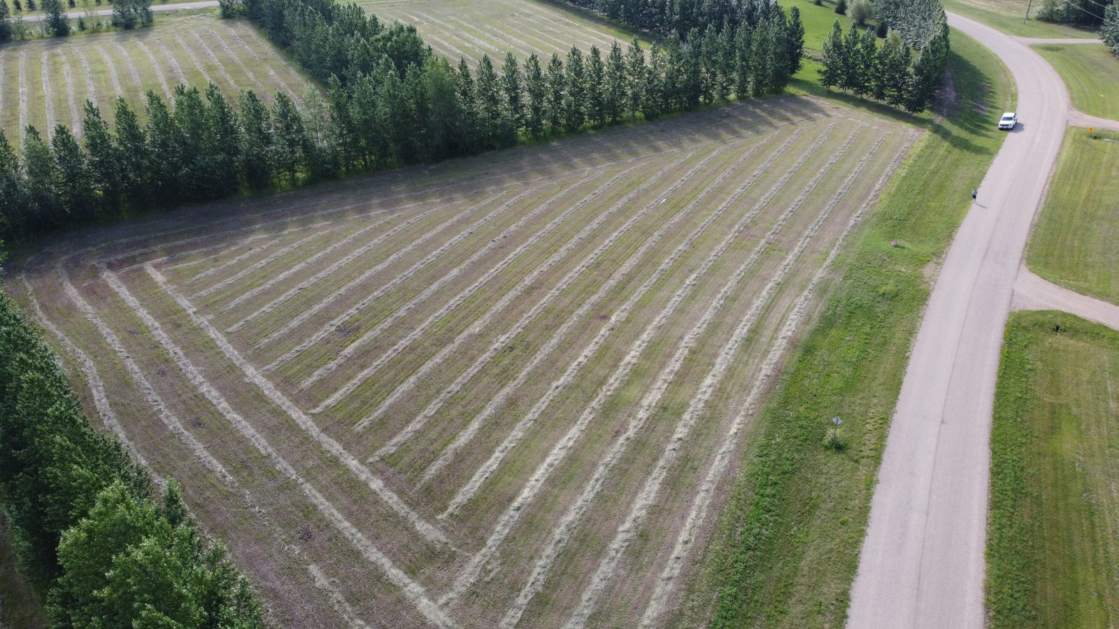 14 Emanuel Drive Rural Wainwright No. 61, M.D.